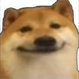 blushyDoggo Discord emoji
