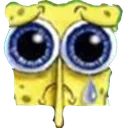 spongefuy