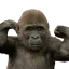 monkeSTRONG