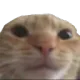 HC_SwagHuh HC_SwagHuh