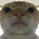 QUE