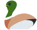 NormalDuck