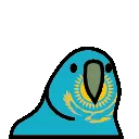 parrotkazakh parrotkazakh