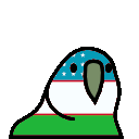 parrotuzbek