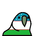 parrotuzbek