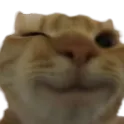 catwink catwink