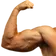 armL armL