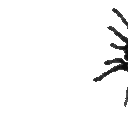 ILM_creepingtarantula Discord Emoji