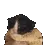 Bruh