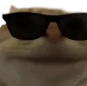 HowieCool HowieCool