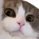 LeoWtf