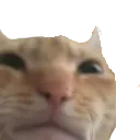 swagcringe