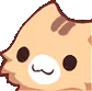 kat_Stare