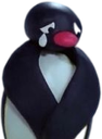 pingu_cry Discord emoji