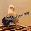 birdrock Discord emoji