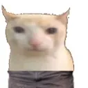 catbruh1 Discord Emoji