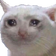 mericCat Discord emoji