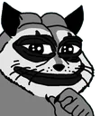 Raccoon Raccoon