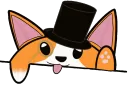 corgiBongo corgiBongo