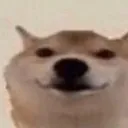 remove_this_in_like_2_days_lo remove_this_in_like_2_days_lo
