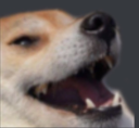 mr_dog_haha Discord emoji