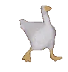 defaultDuck defaultDuck