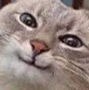 SmugCatto