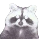 TPglow