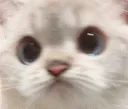 pout_kitty_triggered