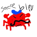 yourmotherwasahamster