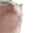 :catJAM: catJAM