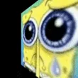 spongesad spongesad