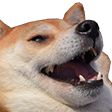 dogelaugh Discord emoji