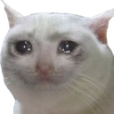 CatTearsCry Discord emoji