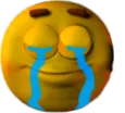 intjtears