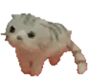 elwiwi