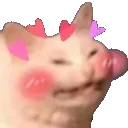 cattoblush