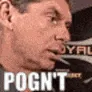 Pognt Pognt