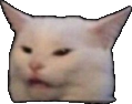 ConfusedCat