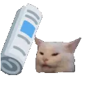 Bonkcat bonkcat Discord Emoji