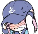 AquaHide AquaHide