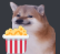 DoggoPopcorn Discord emoji