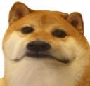 shibsad Discord emoji