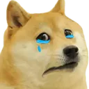 m_doggocry