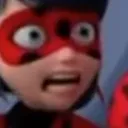 LadybugWhat LadybugWhat