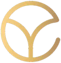 yunttrans
