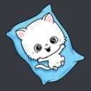 cat Discord Emoji