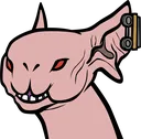 HappyHyekka HappyHyekka