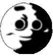 AA_why AA_why