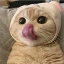 ACatTongue